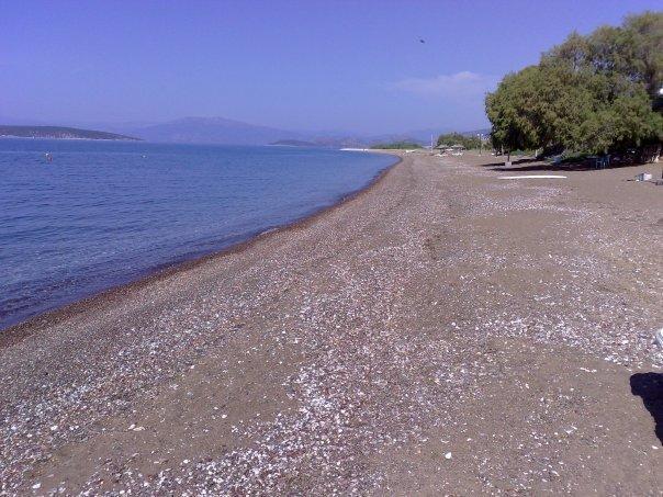 Δήμητρα Apartments Κάντια Εξωτερικό φωτογραφία